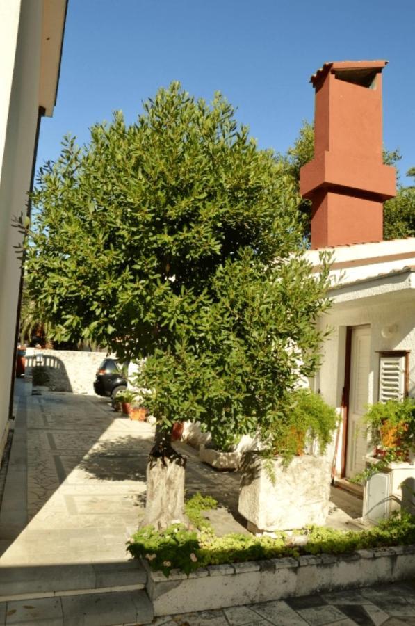 Vila Danica Apartment Zaostrog Luaran gambar